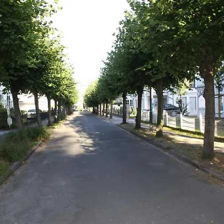 Gutenberg * בינץ